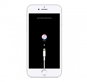 iPhone 6 Plus iOS Recovery
