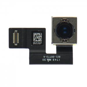 Rear Facing Camera Replacement